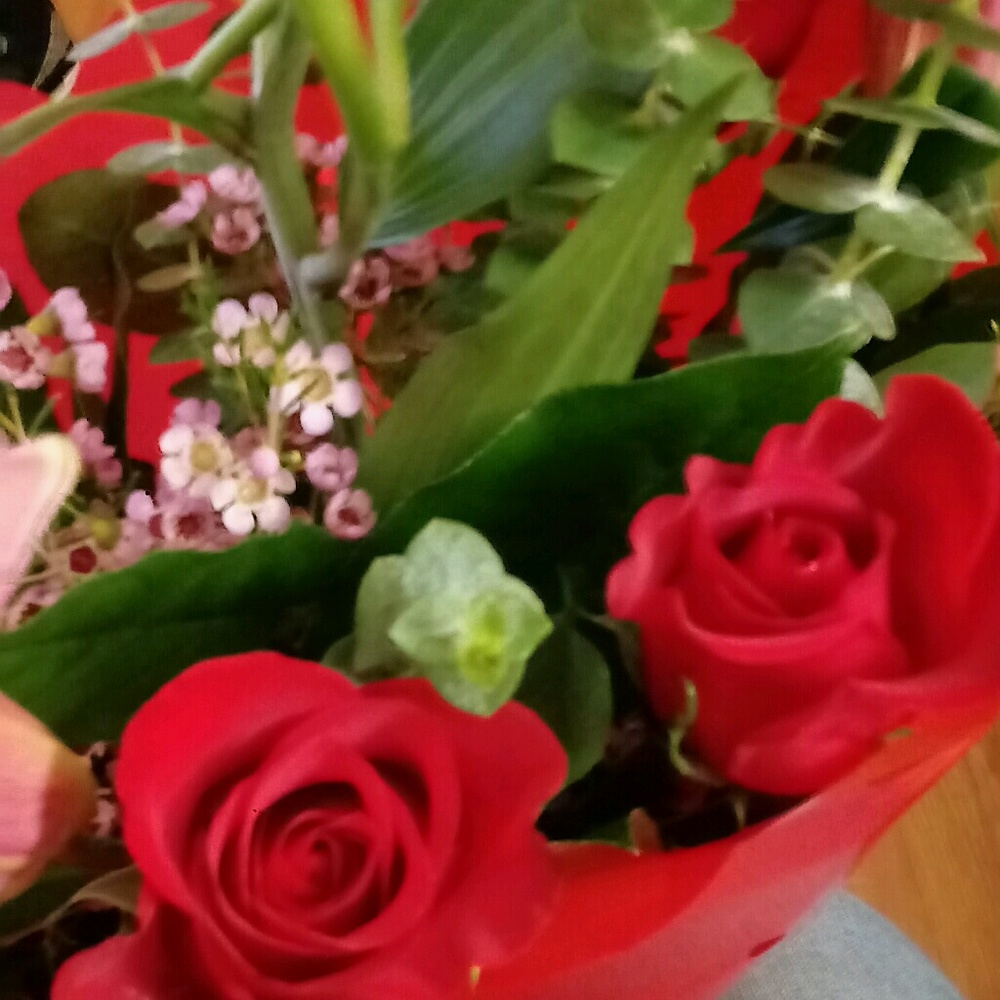 Meet your Posher, Gabby